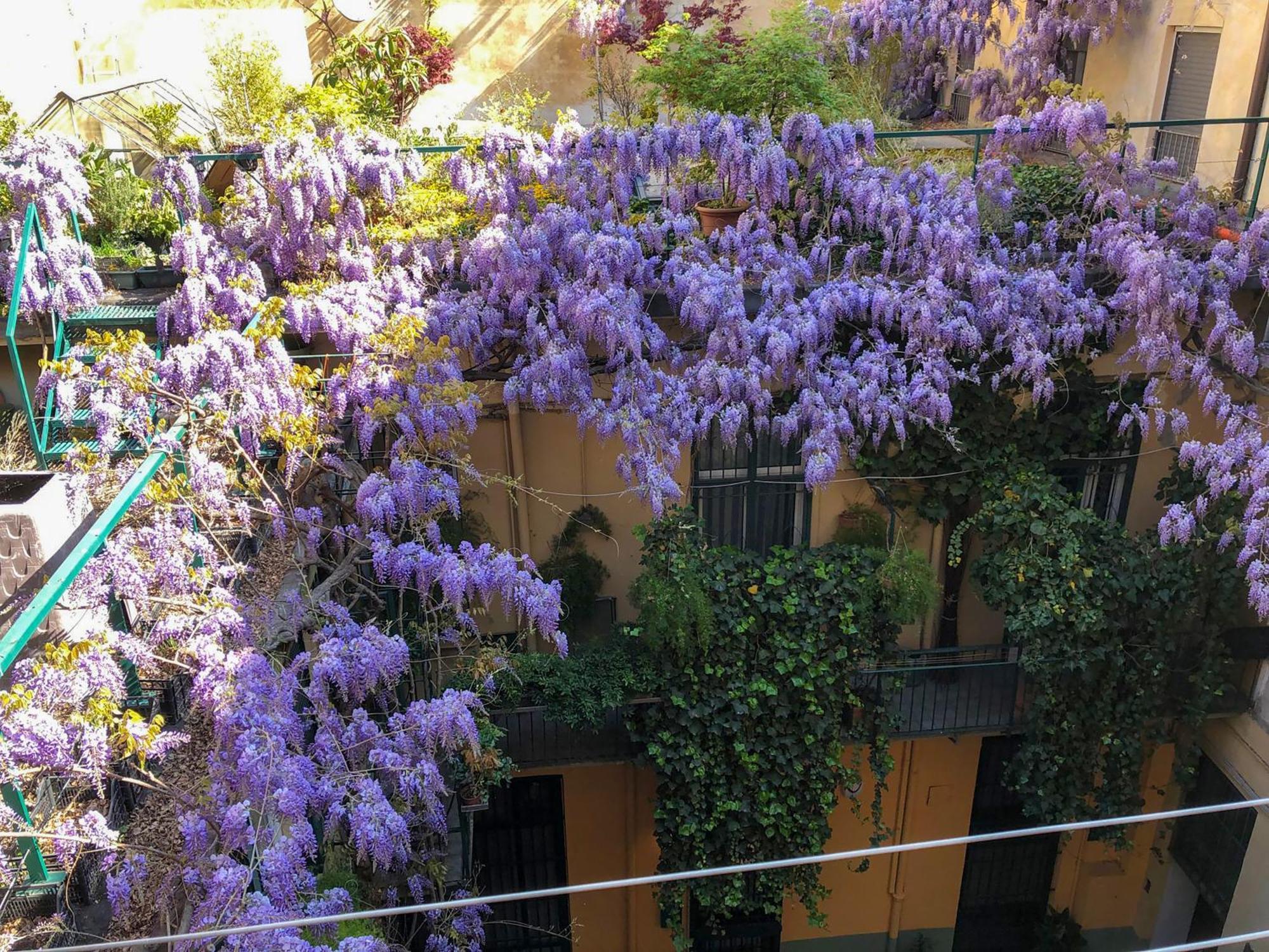 Апартаменти La Casa Degli Angeli Турин Екстер'єр фото